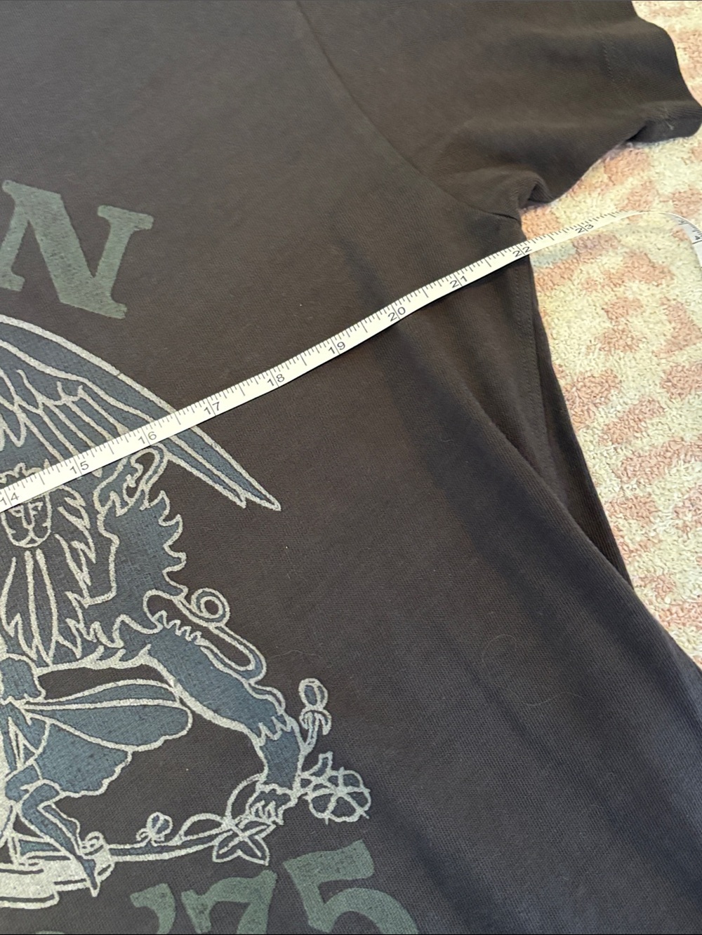 American Eagle Tshirt Dress Queen Tour '75 Graphic - black washed/gray - Picture 3 of 6